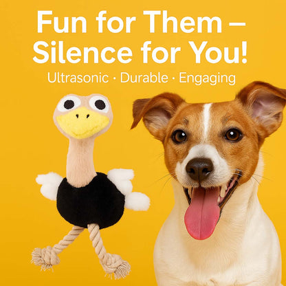 Talking Dog Club  Ostritch Plush - Ultrasonic-Silent Squeaker Toy