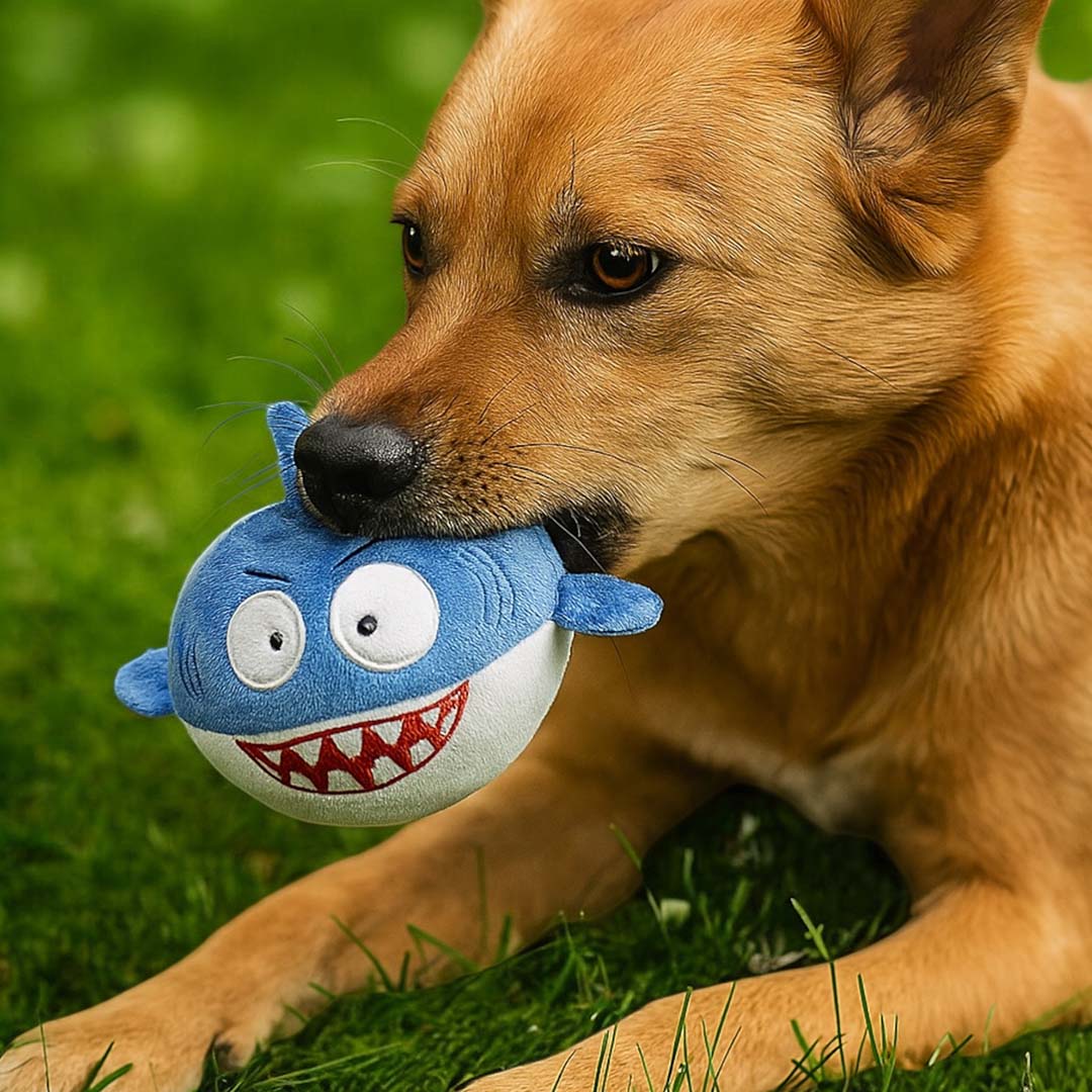 Talking Dog Club  Pop-a-Shark Bouncy Toy