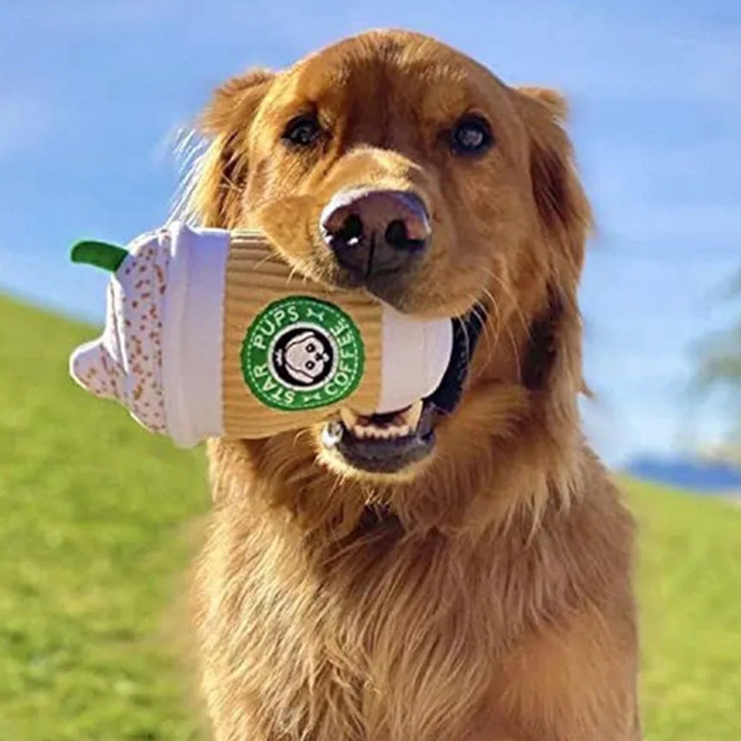 Talking Dog Club  Pup Cup - Plush Toy