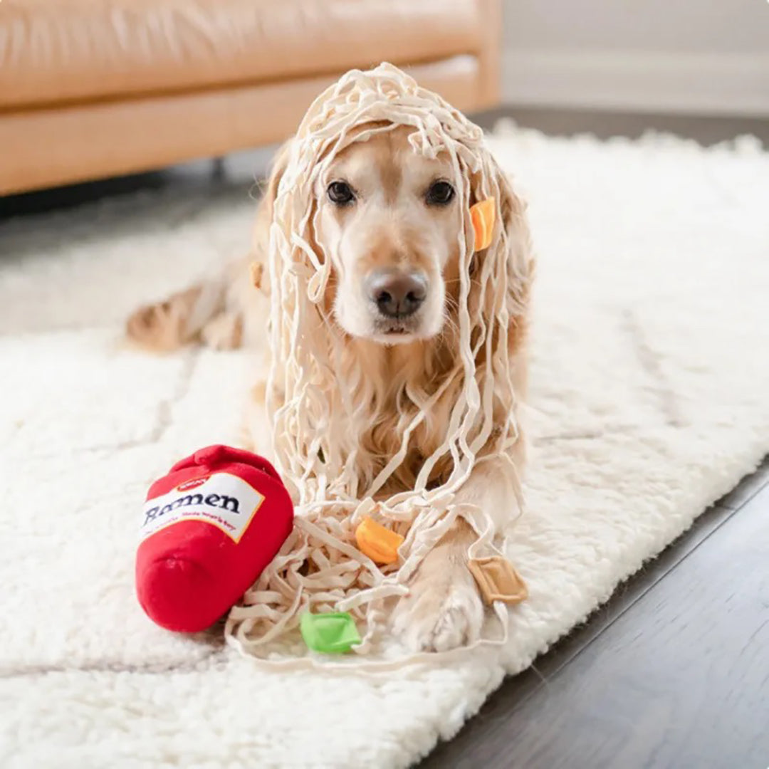 Talking Dog Club  Ramen Noodles - Interactive Plush Toy