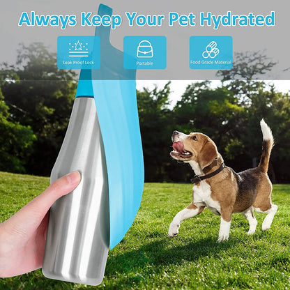 Talking Dog Club  Stainless Steel Travel Water Bottle for Dogs - Grey