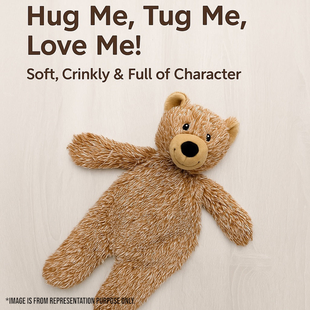 Talking Dog Club  Teddy Bear Plush Crinkle Toy
