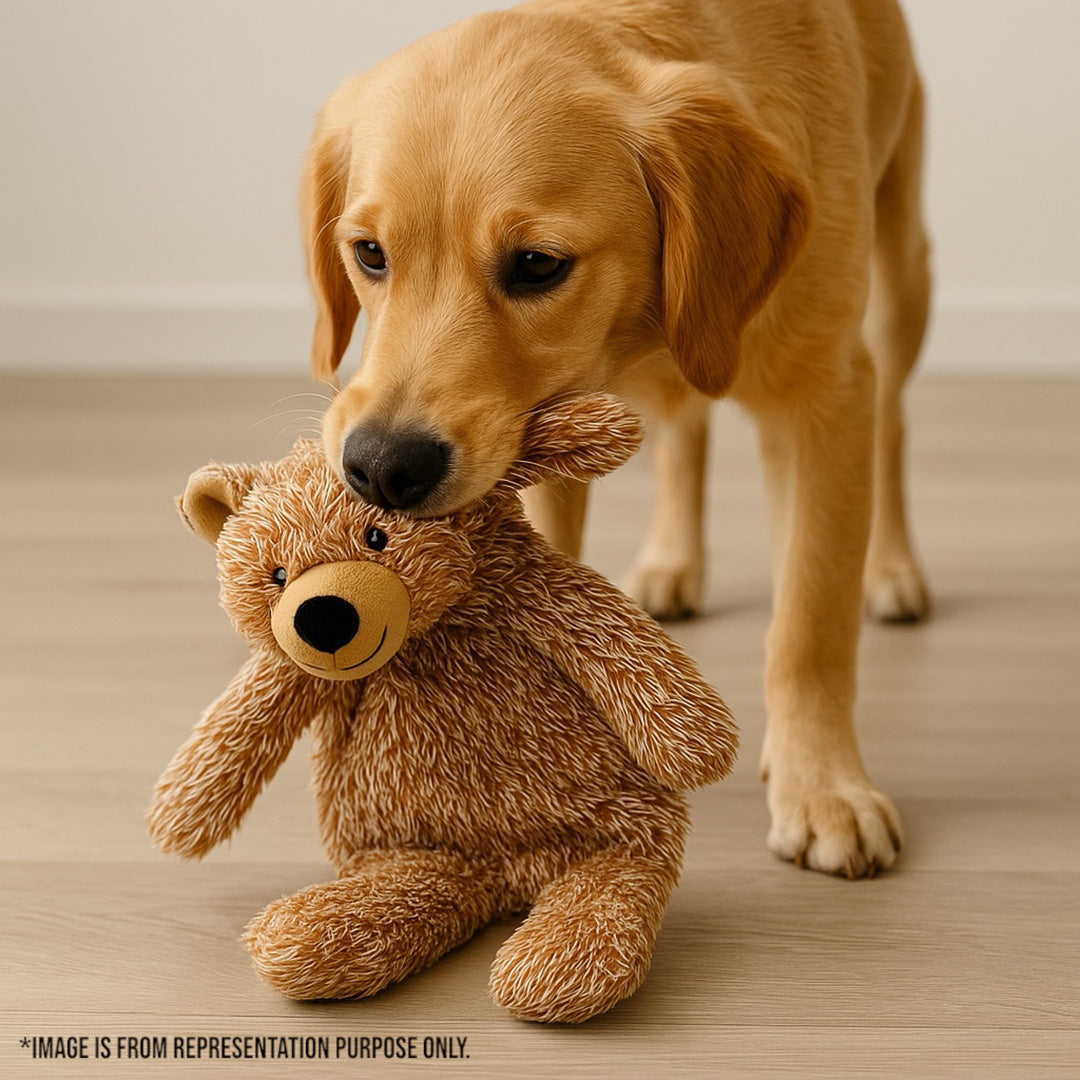 Talking Dog Club  Teddy Bear Plush Crinkle Toy