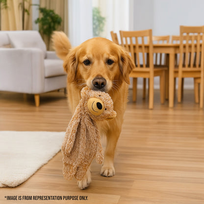 Talking Dog Club  Teddy Bear Plush Crinkle Toy