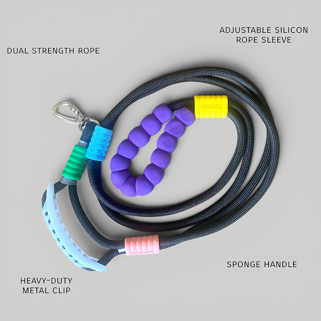 Talking Dog Club  Vivid- Brigt Color Extra Stong Leash - Black Leash/ Purple Handle