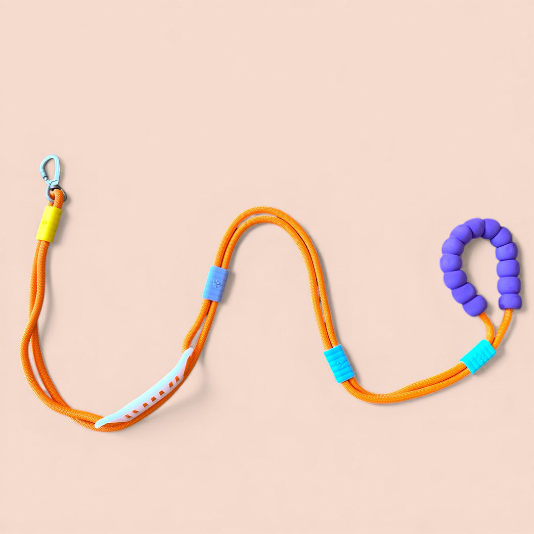 Talking Dog Club  Vivid- Bright Color Extra Stong Leash - Orange Leash/ Purple Handle
