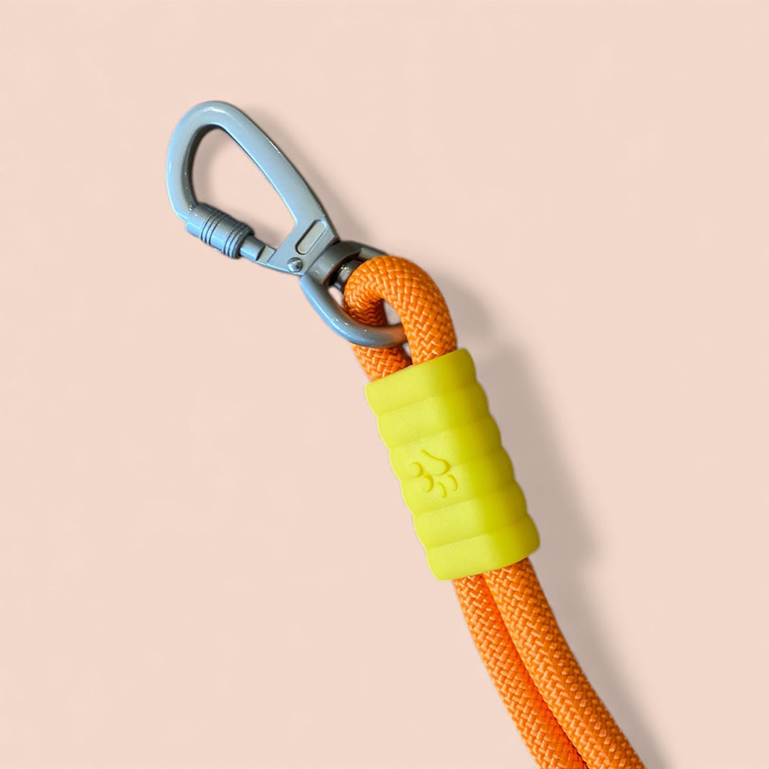 Talking Dog Club  Vivid- Bright Color Extra Stong Leash - Orange Leash/ Purple Handle