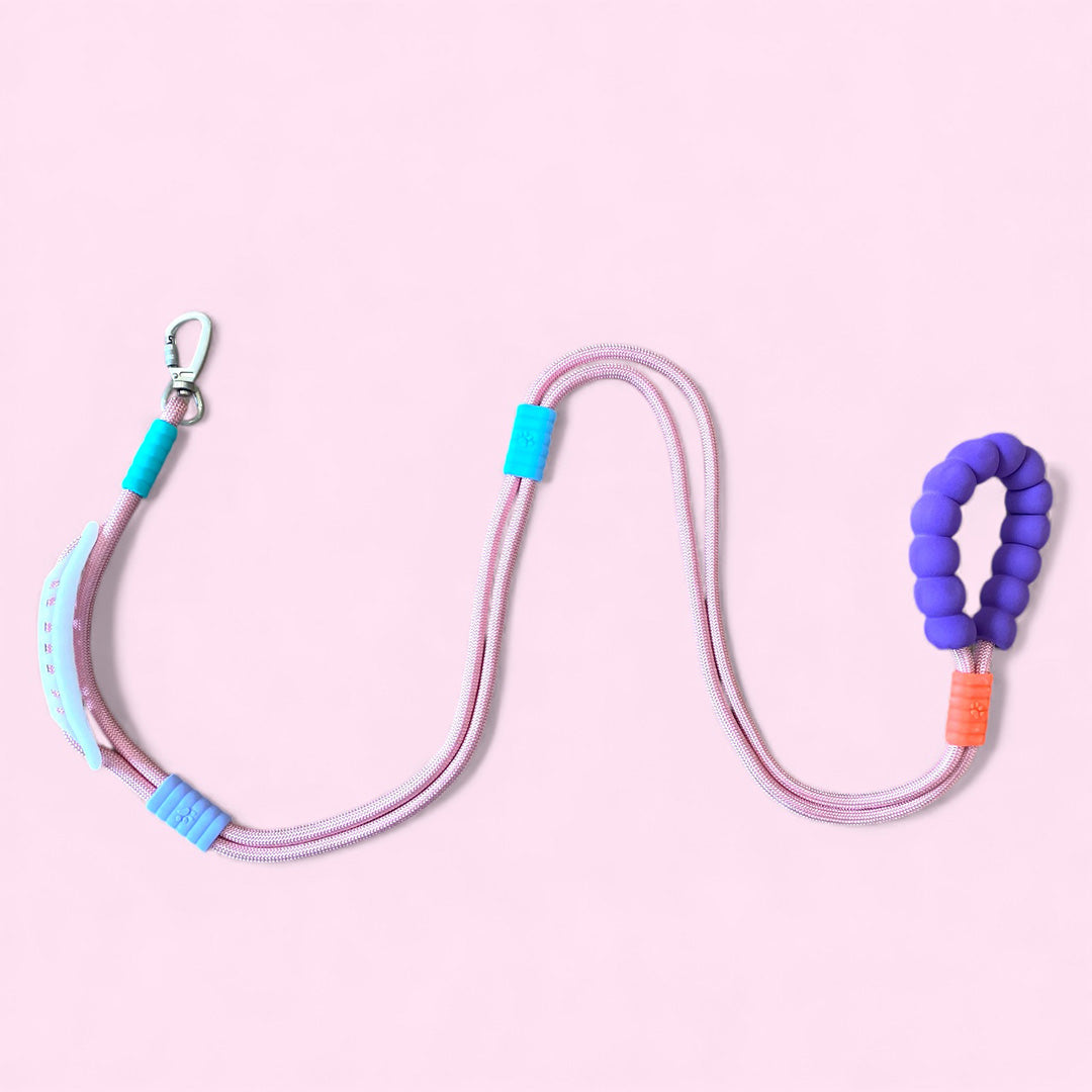 Talking Dog Club  Vivid- Bright Color Extra Stong Leash - Pink Leash/ Purple Handle
