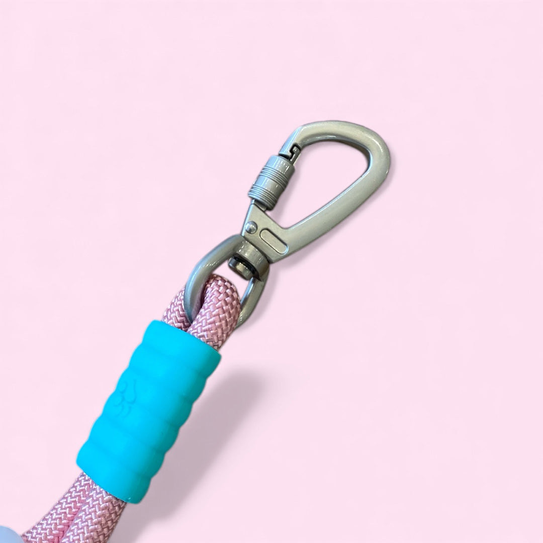 Talking Dog Club  Vivid- Bright Color Extra Stong Leash - Pink Leash/ Purple Handle