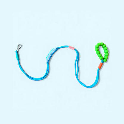 Talking Dog Club Vivid - Bright Color Extra Stong Leash - Blue Leash/ Green Handle