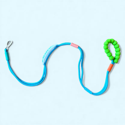 Talking Dog Club  Vivid - Bright Color Extra Stong Leash - Blue Leash/ Green Handle