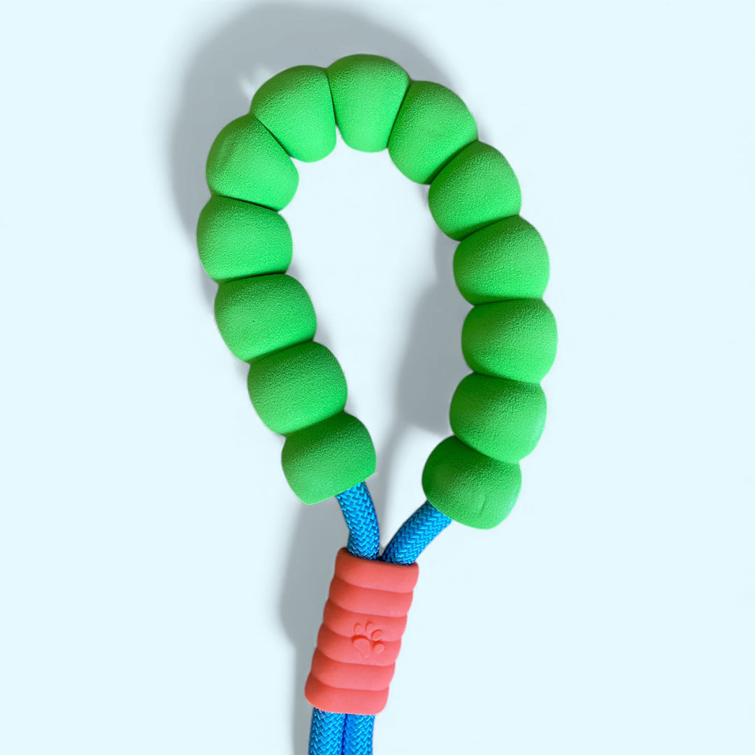 Talking Dog Club  Vivid - Bright Color Extra Stong Leash - Blue Leash/ Green Handle
