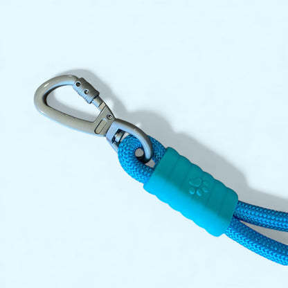Talking Dog Club  Vivid - Bright Color Extra Stong Leash - Blue Leash/ Green Handle