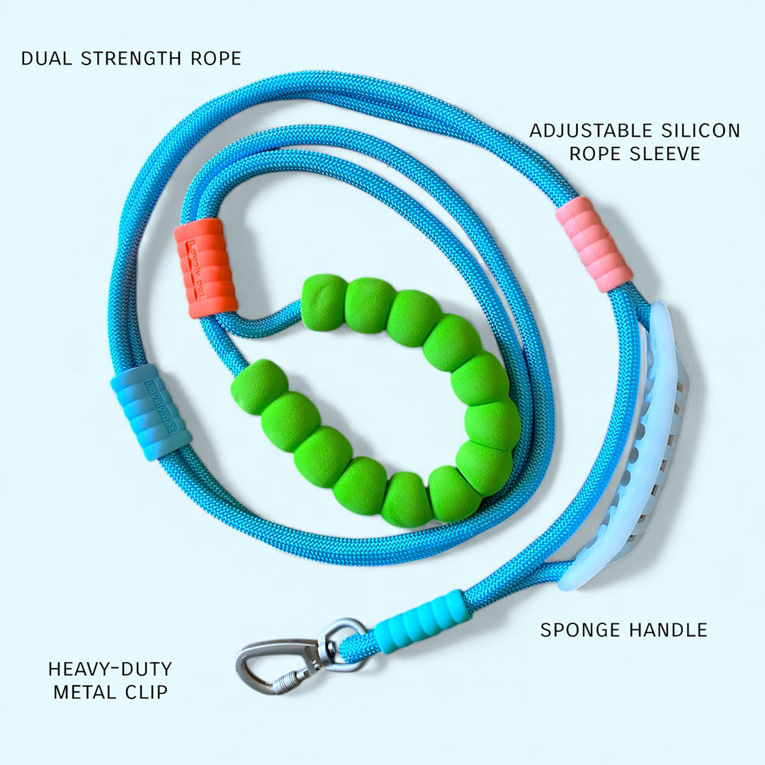Talking Dog Club  Vivid - Bright Color Extra Stong Leash - Blue Leash/ Green Handle