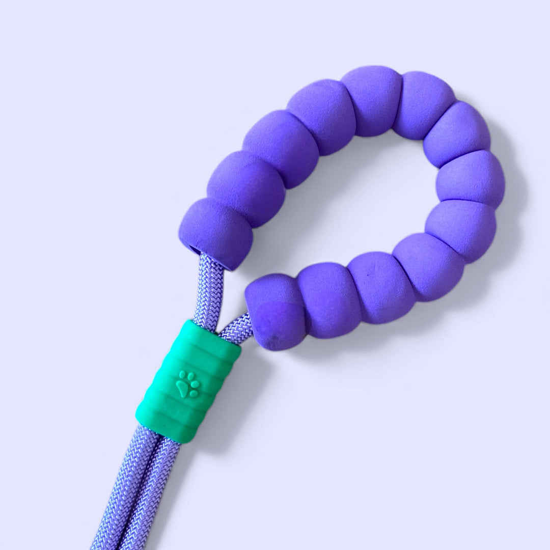 Talking Dog Club  Vivid - Bright Color Extra Stong Leash - Purple Leash/ Purple Handle