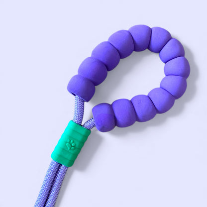 Talking Dog Club  Vivid - Bright Color Extra Stong Leash - Purple Leash/ Purple Handle