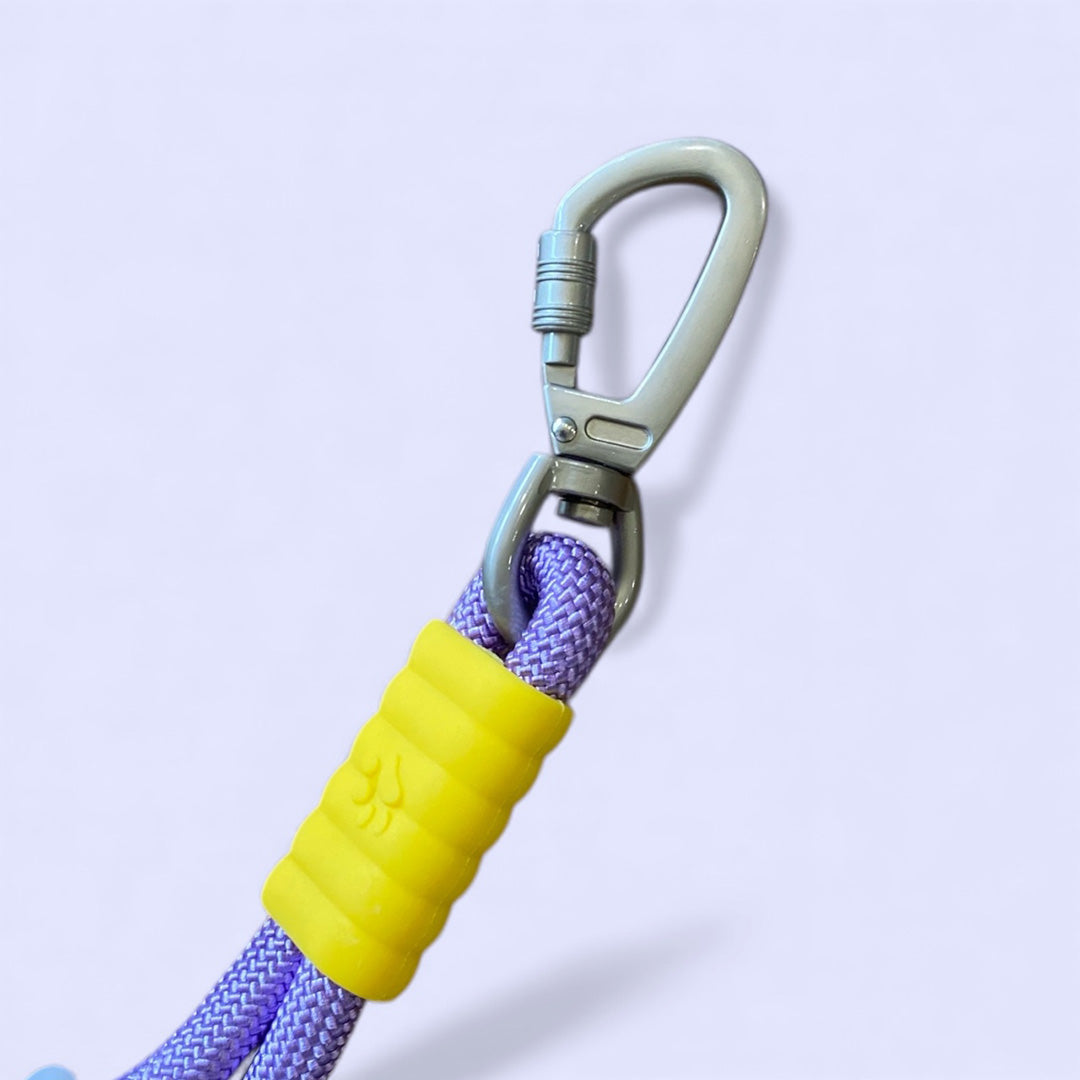 Talking Dog Club  Vivid - Bright Color Extra Stong Leash - Purple Leash/ Purple Handle