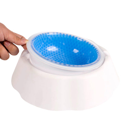 Talking Dog Club  Water Cooling Bowl