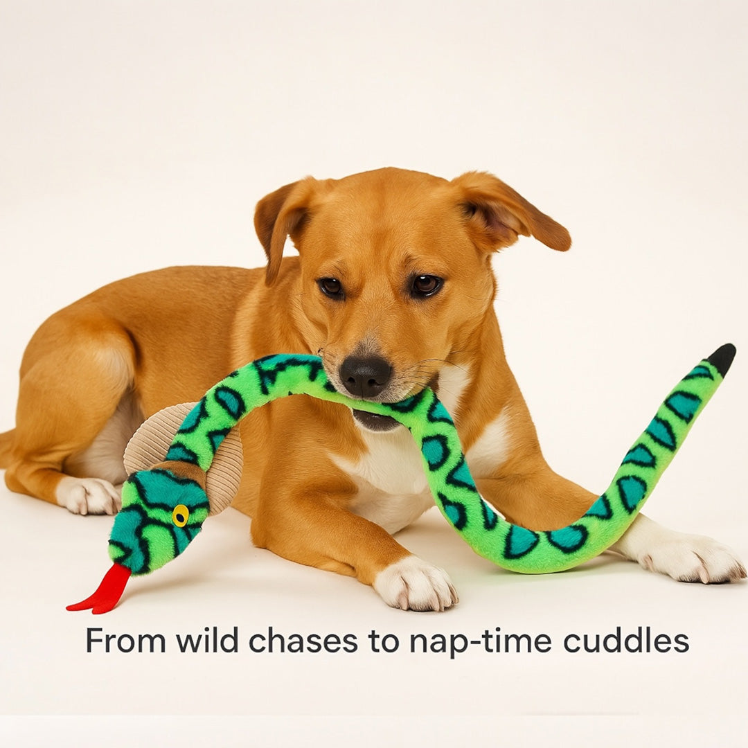 Talking Dog Club  XL Cobra Rattle Plush toy for Dogs