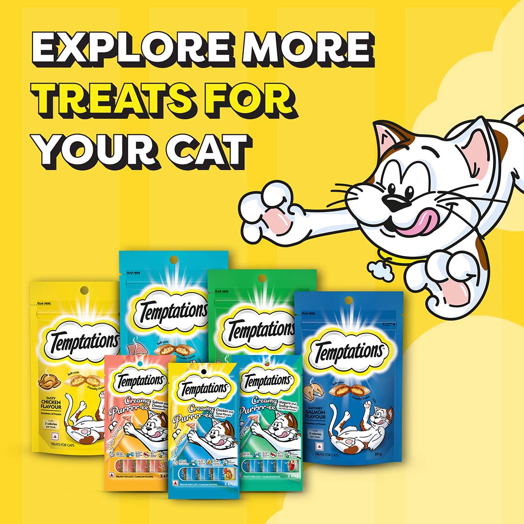 Temptations Cat Treat, Savoury Salmon Flavour - 85 g