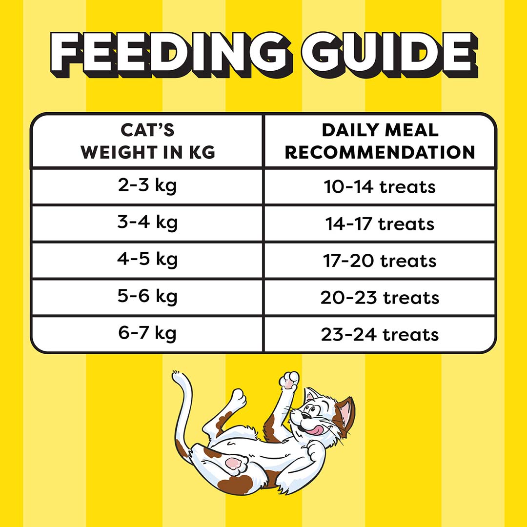 Temptations Cat Treat, Savoury Salmon Flavour - 85 g