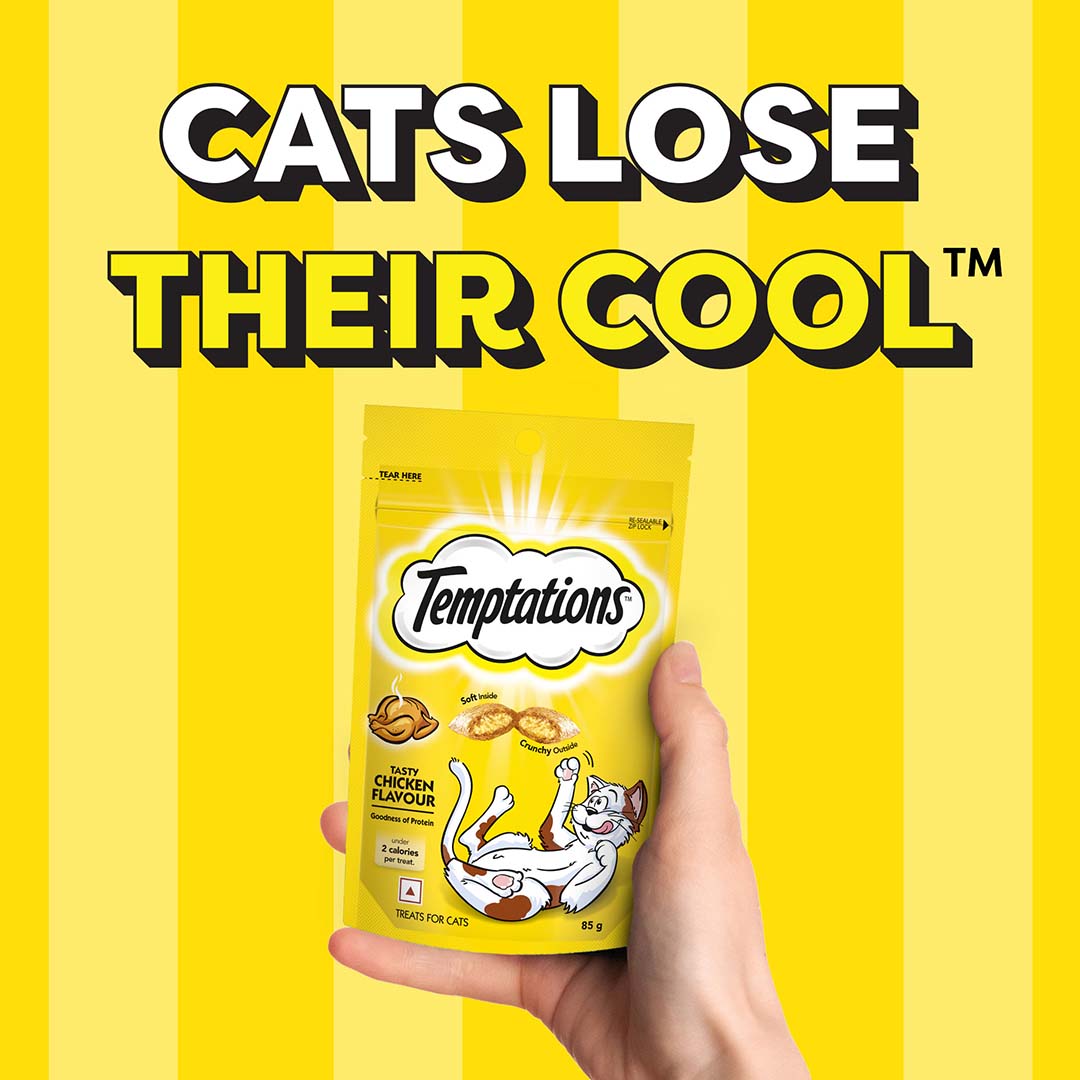 Temptations Cat Treat, Tasty Chicken Flavour - 85 g