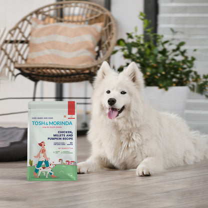 Tosh & Morinda Chicken, Millets and Pumpkin Recipe - Baked Food for Adult Dogs