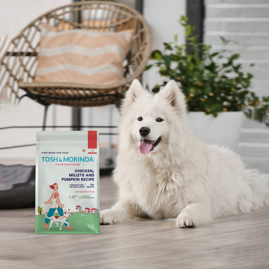 Tosh & Morinda Chicken, Millets and Pumpkin Recipe - Baked Food for Adult Dogs