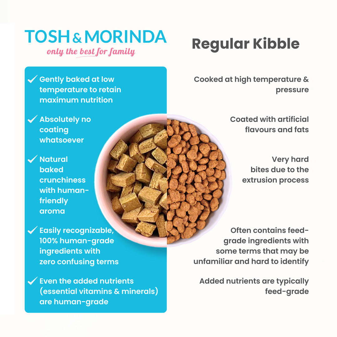 Tosh & Morinda Chicken, Millets and Pumpkin Recipe - Baked Food for Adult Dogs