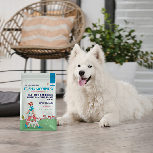 Tosh & Morinda Wild-Caught Anchovies, Millets and Sweet Potato Recipe - Baked Food for Adult Dogs