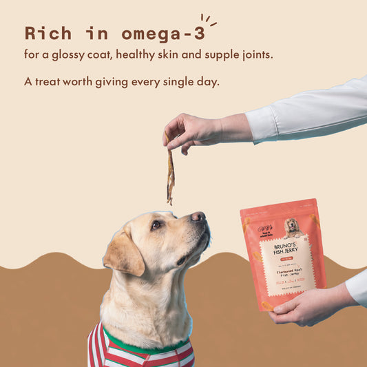 Two & a Half Tails Bruno's Fish Jerky 70g | Grain-Free Dog Treats