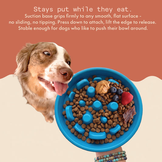Two & a Half Tails Bubble Bowl Slow Feeder