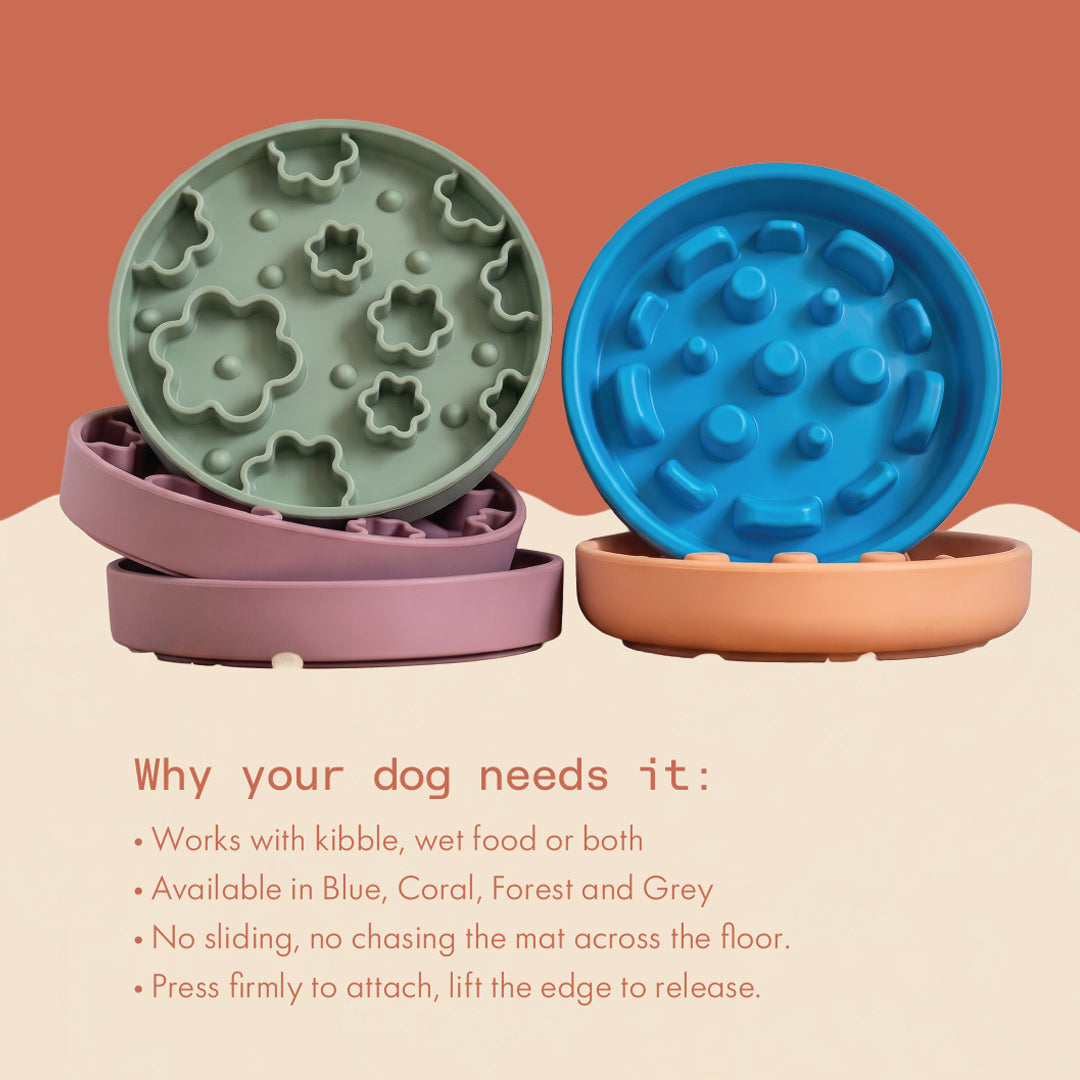 Two & a Half Tails Bubble Bowl Slow Feeder