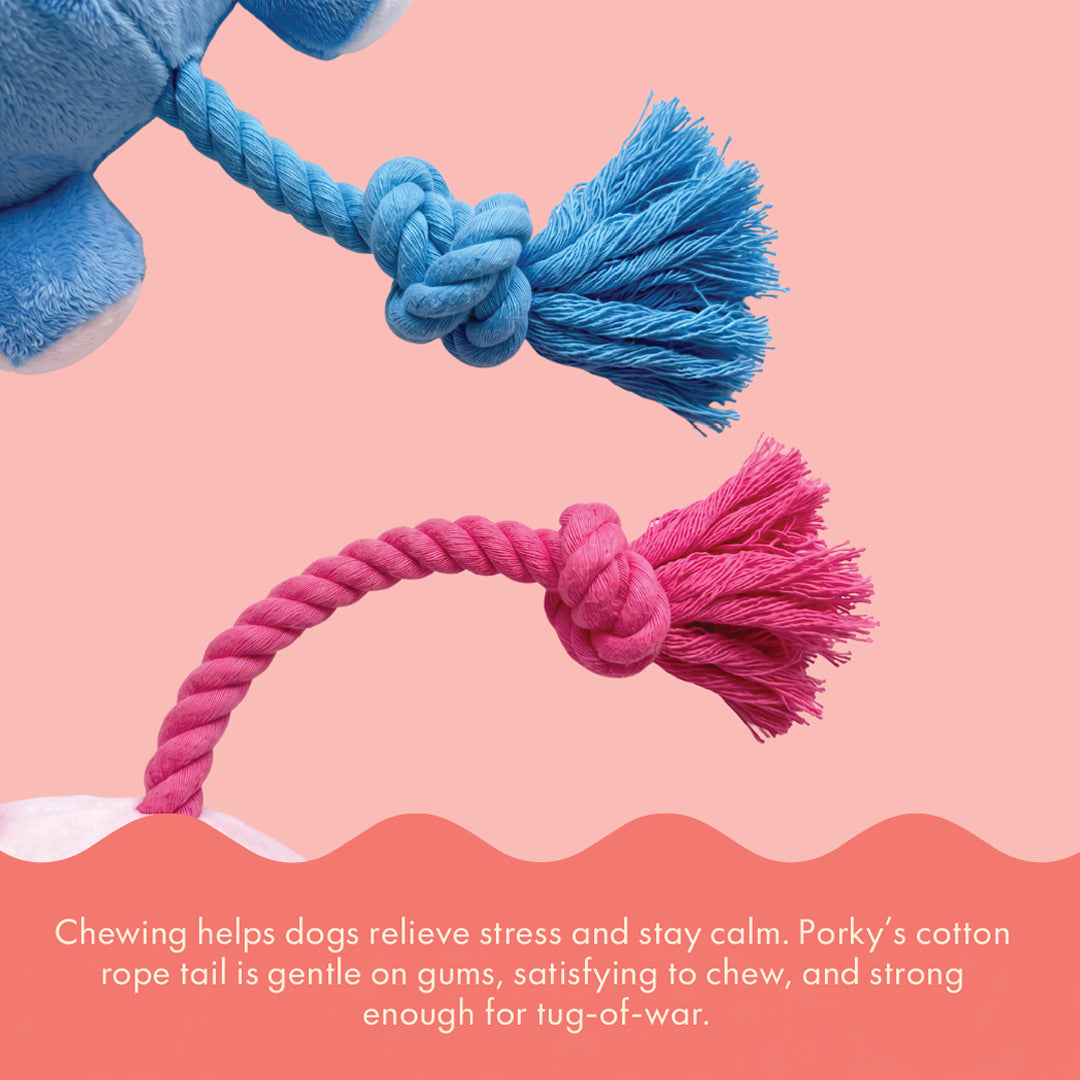 Two & a Half Tails Ellie the Elephant Chew & Rope Toy