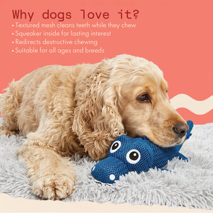 Two & a Half Tails Jaws the Croc Chew Toy