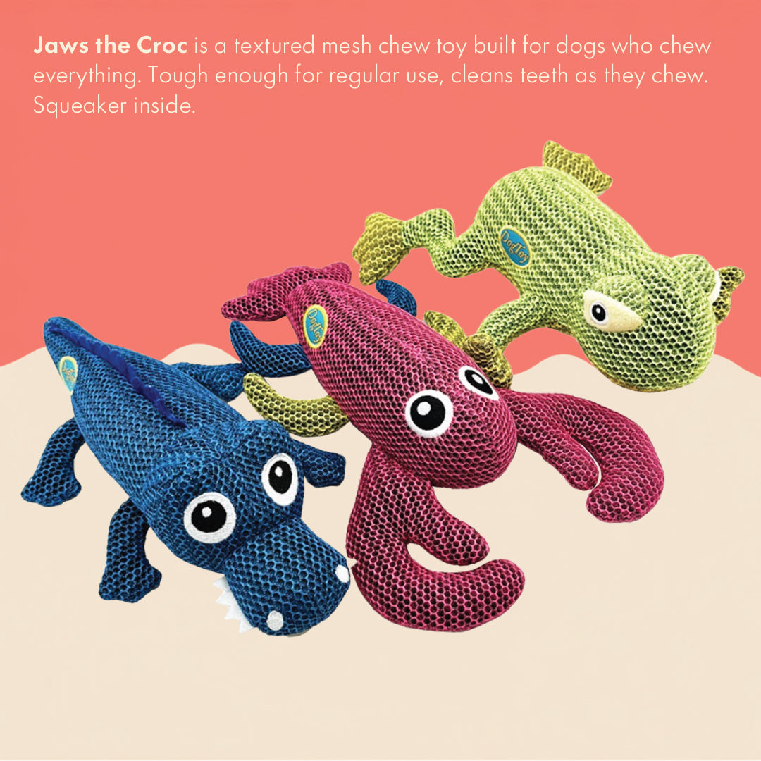 Two & a Half Tails Jaws the Croc Chew Toy
