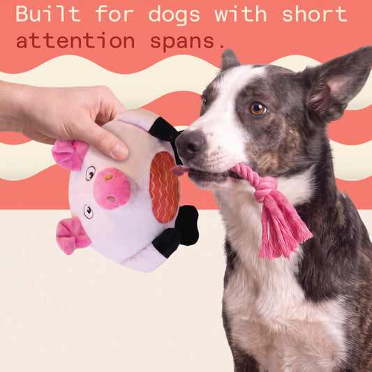 Two & a Half Tails Porky the Pig Chew & Rope Toy