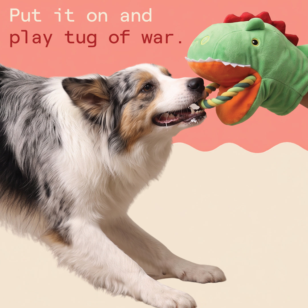 Two & a Half Tails Rexy the Dino Tug Toy