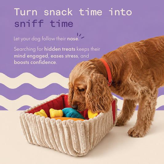 Two & a Half Tails The Sniffari Lunch Box Snuffle Toy