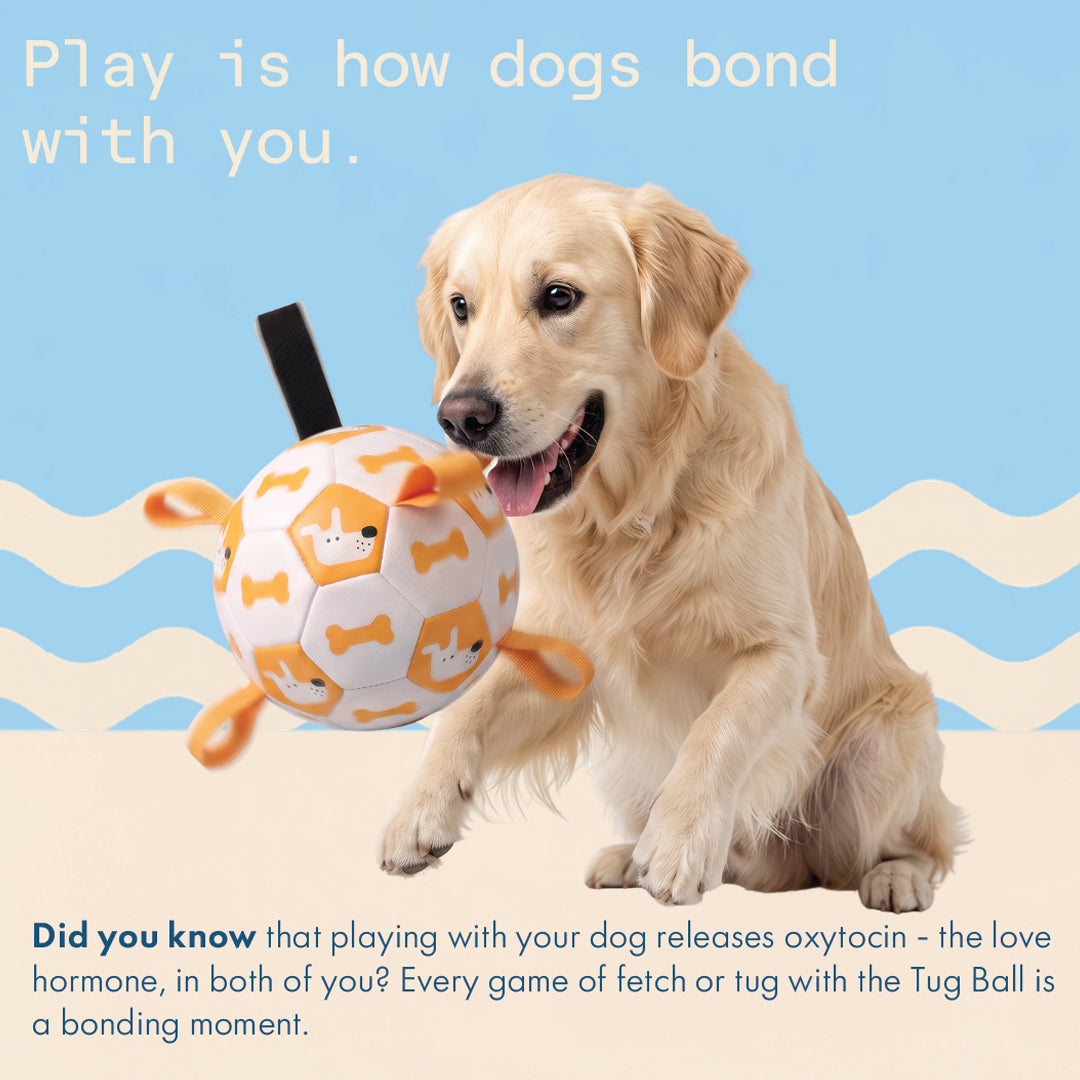 Two & a Half Tails The Tug Ball