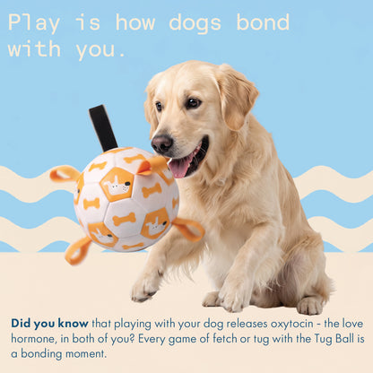 Two & a Half Tails The Tug Ball
