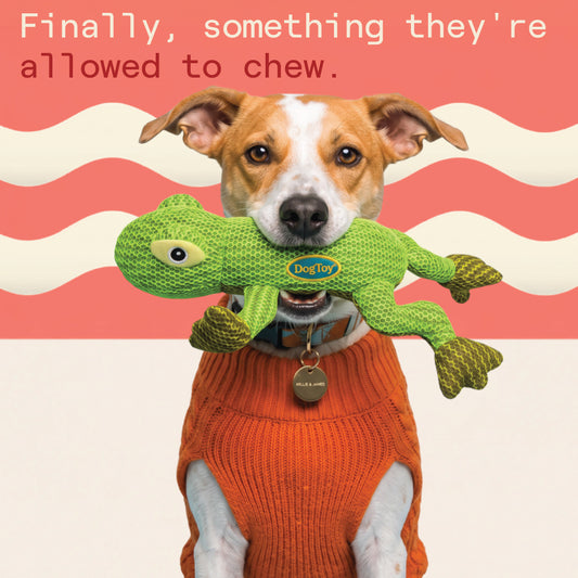 Two & a Half Tails Zippy the Lizard Chew Toy