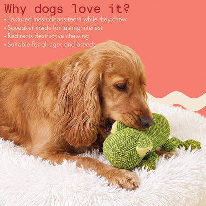 Two & a Half Tails Zippy the Lizard Chew Toy