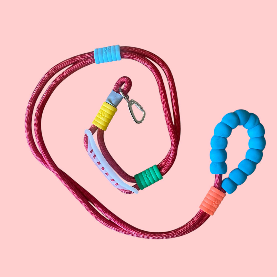 Talking Dog Club  Vivid- Bright Color Extra Stong Leash - Red Leash/ Blue Handle