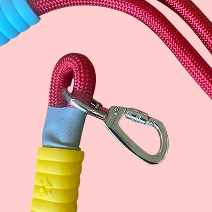 Talking Dog Club  Vivid- Bright Color Extra Stong Leash - Red Leash/ Blue Handle