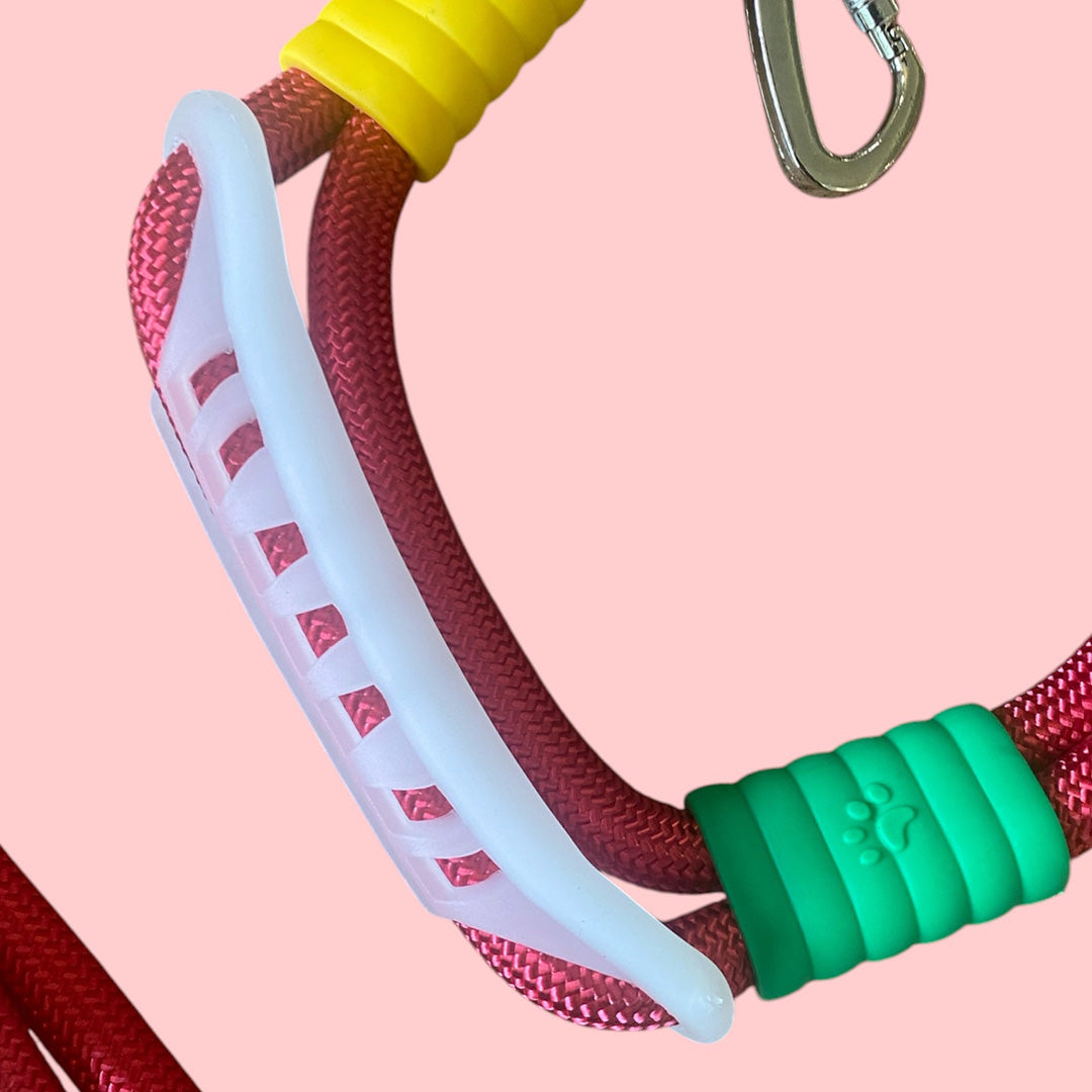 Talking Dog Club  Vivid- Bright Color Extra Stong Leash - Red Leash/ Blue Handle