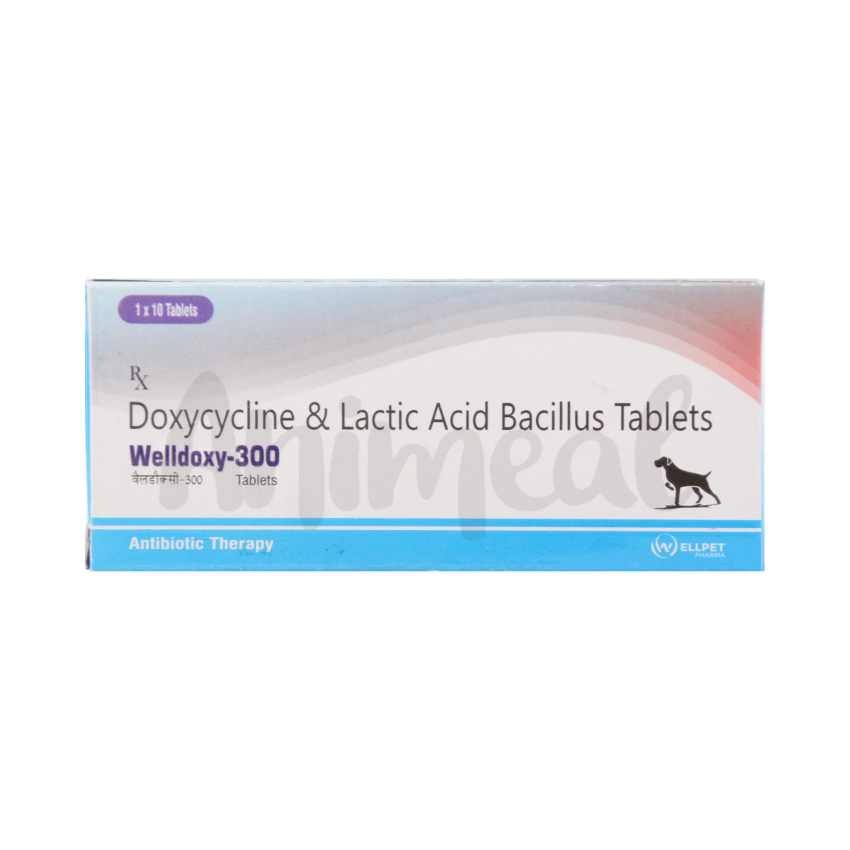 WELLDOXY-300MG TABLET - Animeal