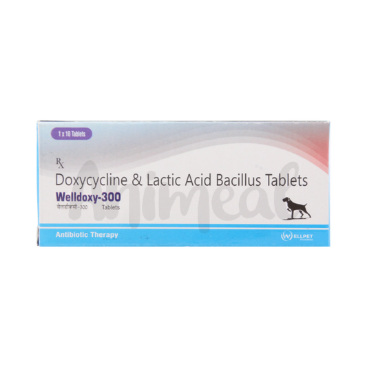 WELLDOXY-300MG TABLET - Animeal