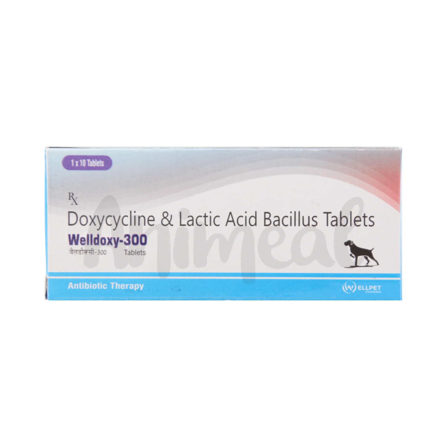 WELLDOXY-300MG TABLET - Animeal