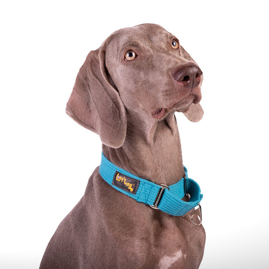Let's Wag Martingale Fabric Dog Collar - Cobalt Blue